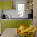 Διαμέρισμα Mobile Olive Tree Pakoštane