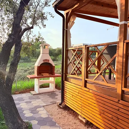Mobile Olive Tree