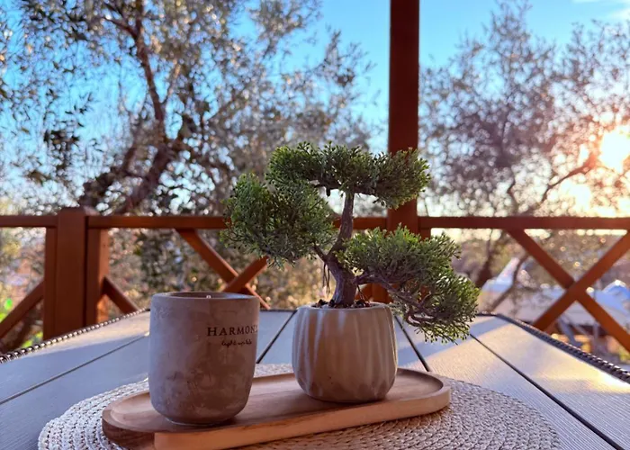 아파트 Mobile Olive Tree *