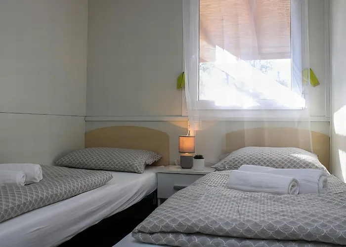 아파트 Mobile Olive Tree *