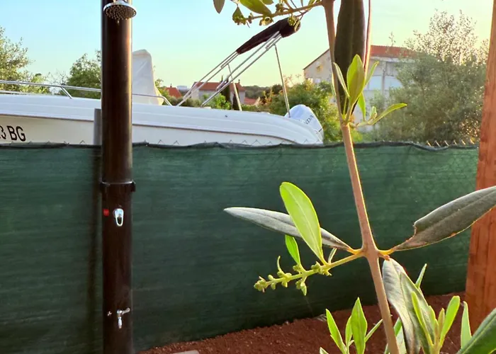 Mobile Olive Tree 파코스탄