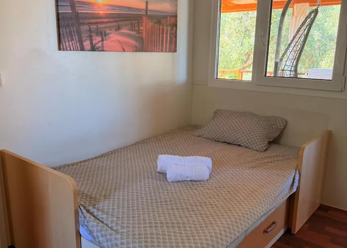 Mobile Olive Tree 아파트