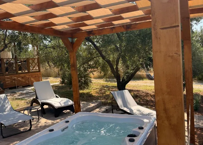 Mobile Olive Tree * 파코스탄