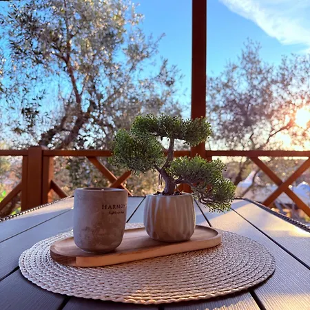 Apartment Mobile Olive Tree *