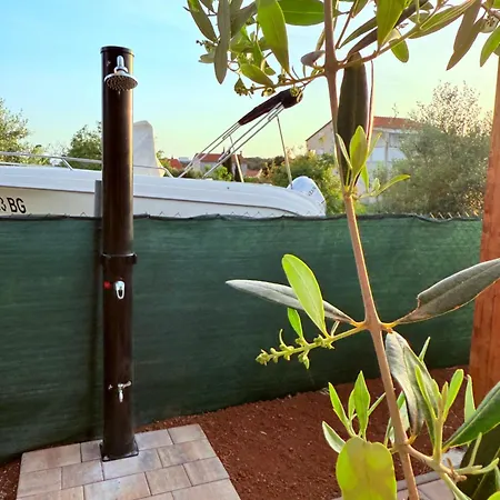 Mobile Olive Tree Pakostane